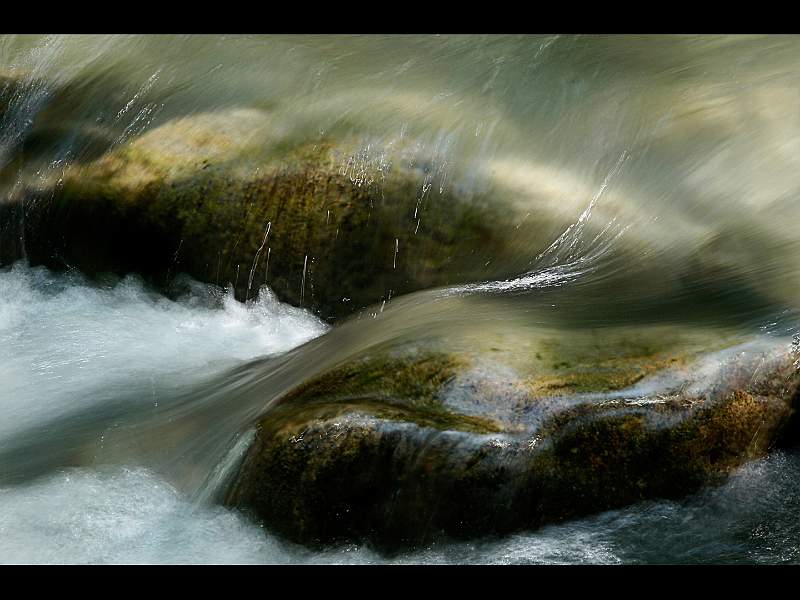 Shimmer - Jean Pain.jpg - SHIMMER